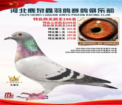 �ر��Ĺظ���188��