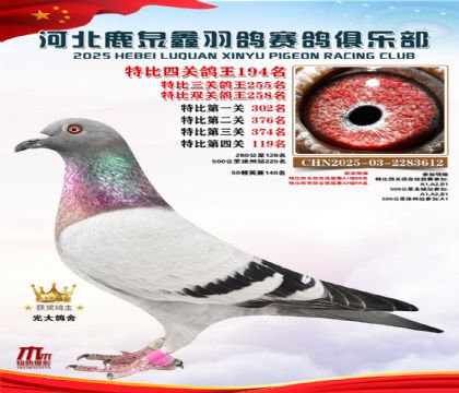 �ر��Ĺظ���194��