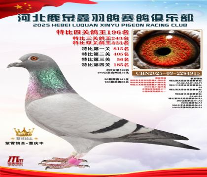 �ر��Ĺظ���196��