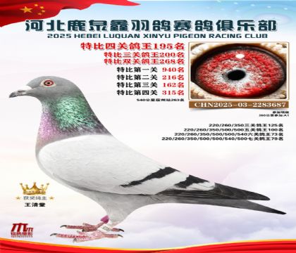 �ر��Ĺظ���195��