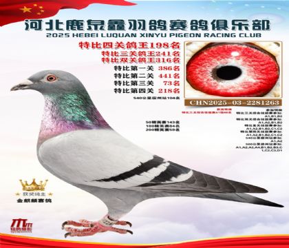 �ر��Ĺظ���198��_����