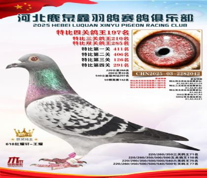 �ر��Ĺظ���197��