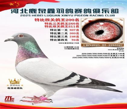 �ر��Ĺظ���200��