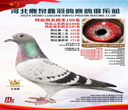 �ر��Ĺظ���199��