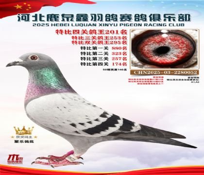 �ر��Ĺظ���201��