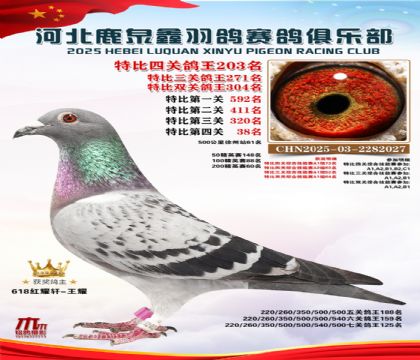 �ر��Ĺظ���203��