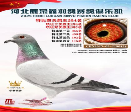 �ر��Ĺظ���204��