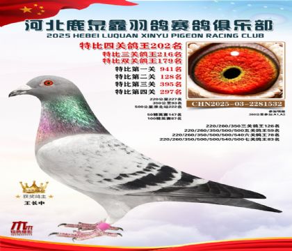 �ر��Ĺظ���202��