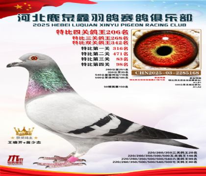 �ر��Ĺظ���206��