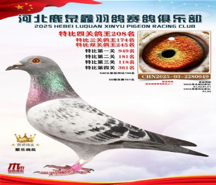 �ر��Ĺظ���208��