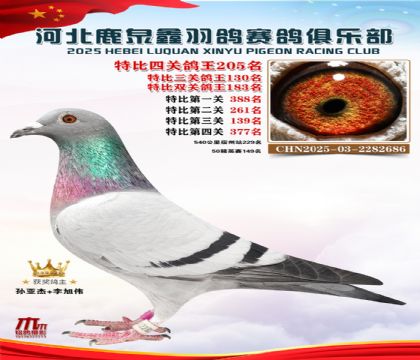 �ر��Ĺظ���205��