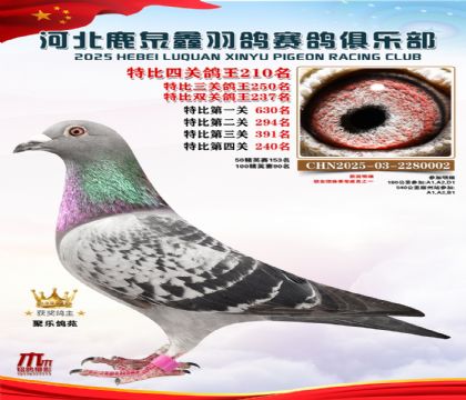 �ر��Ĺظ���210��