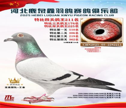 �ر��Ĺظ���211��