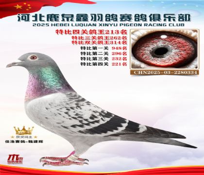 �ر��Ĺظ���213��