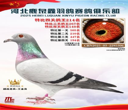 �ر��Ĺظ���214��