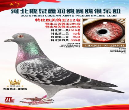 �ر��Ĺظ���212��