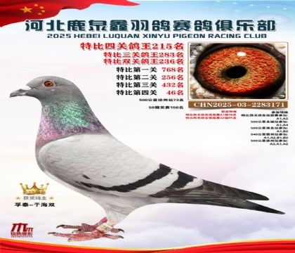 �ر��Ĺظ���215��