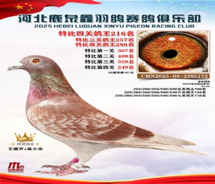 �ر��Ĺظ���216��