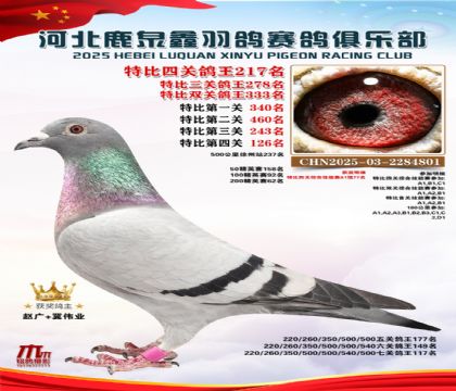 �ر��Ĺظ���217��