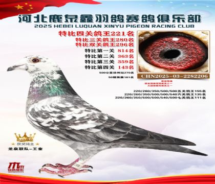 �ر��Ĺظ���221��