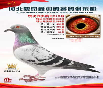 �ر��Ĺظ���219��