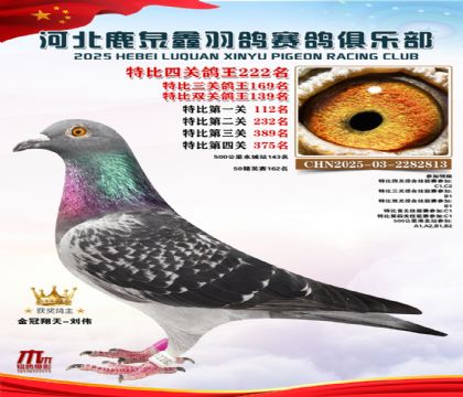 �ر��Ĺظ���222��