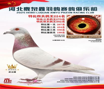 �ر��Ĺظ���224��