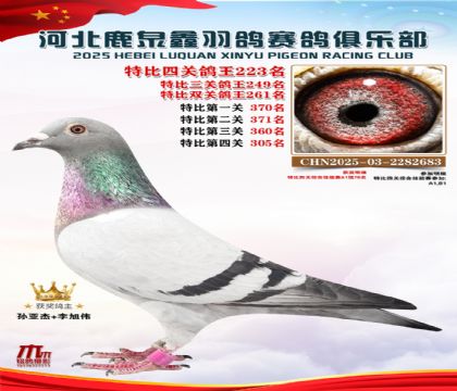 �ر��Ĺظ���223��