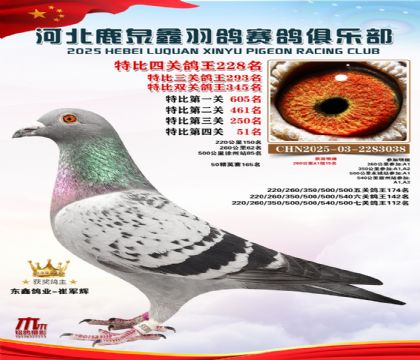 �ر��Ĺظ���228��