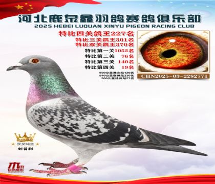 �ر��Ĺظ���227��