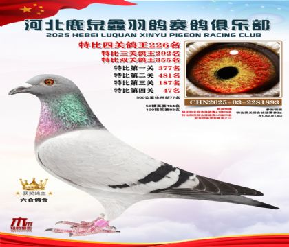 �ر��Ĺظ���226��