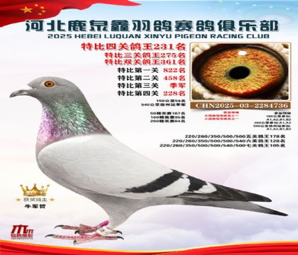 �ر��Ĺظ���231��