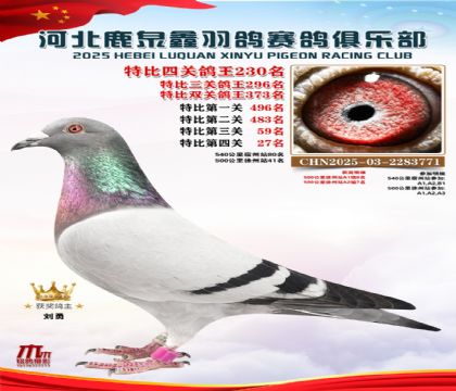 �ر��Ĺظ���230��