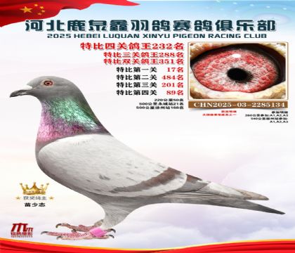 �ر��Ĺظ���232��