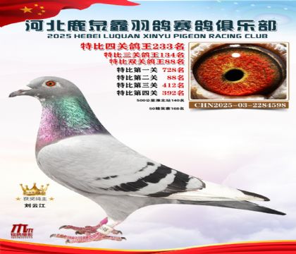 �ر��Ĺظ���233��