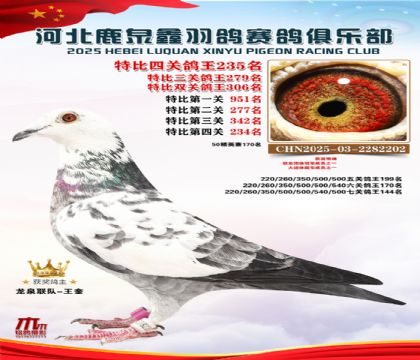 �ر��Ĺظ���235��