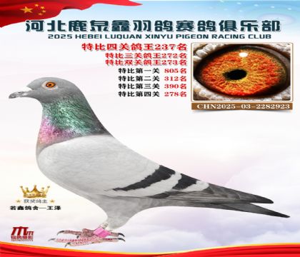 �ر��Ĺظ���237��