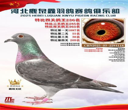 �ر��Ĺظ���236��