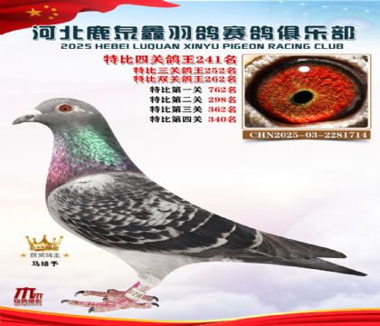 �ر��Ĺظ���241��