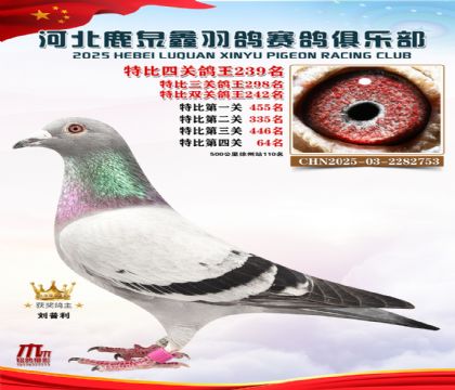 �ر��Ĺظ���239��