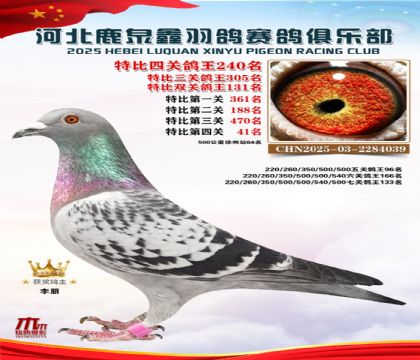 �ر��Ĺظ���240��