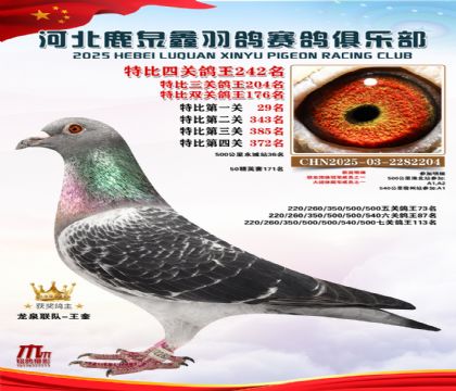 �ر��Ĺظ���242��