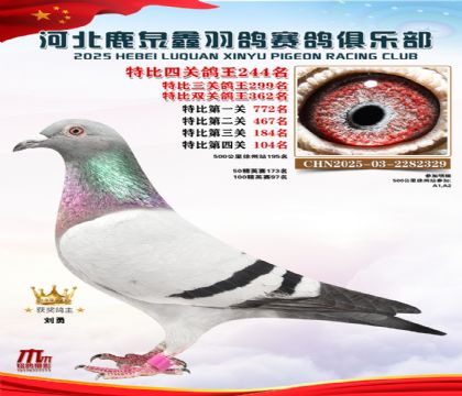 �ر��Ĺظ���244��