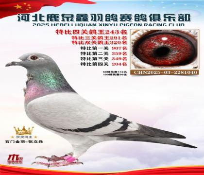 �ر��Ĺظ���243��