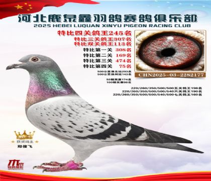 �ر��Ĺظ���245��