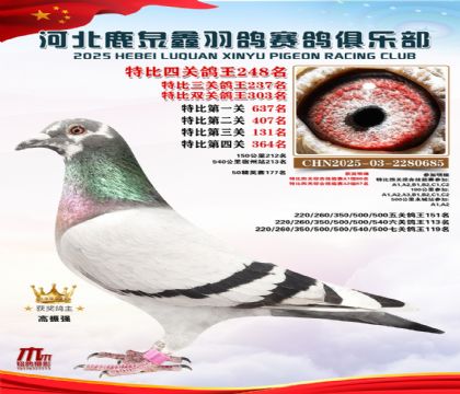 �ر��Ĺظ���248��