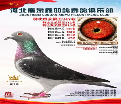 �ر��Ĺظ���247��