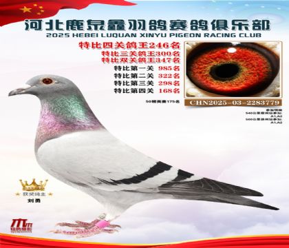 �ر��Ĺظ���246��