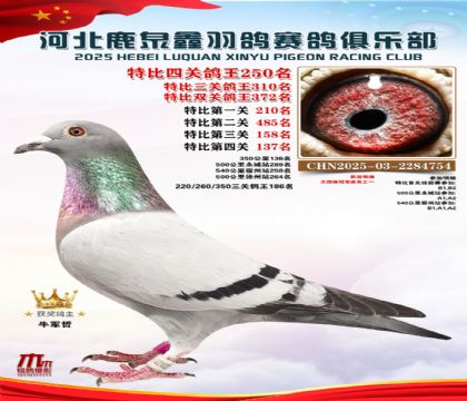 �ر��Ĺظ���250��