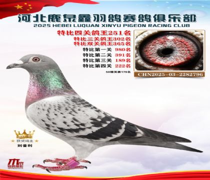 �ر��Ĺظ���251��